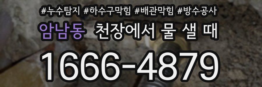 암남동 천장에서 물 샐 때