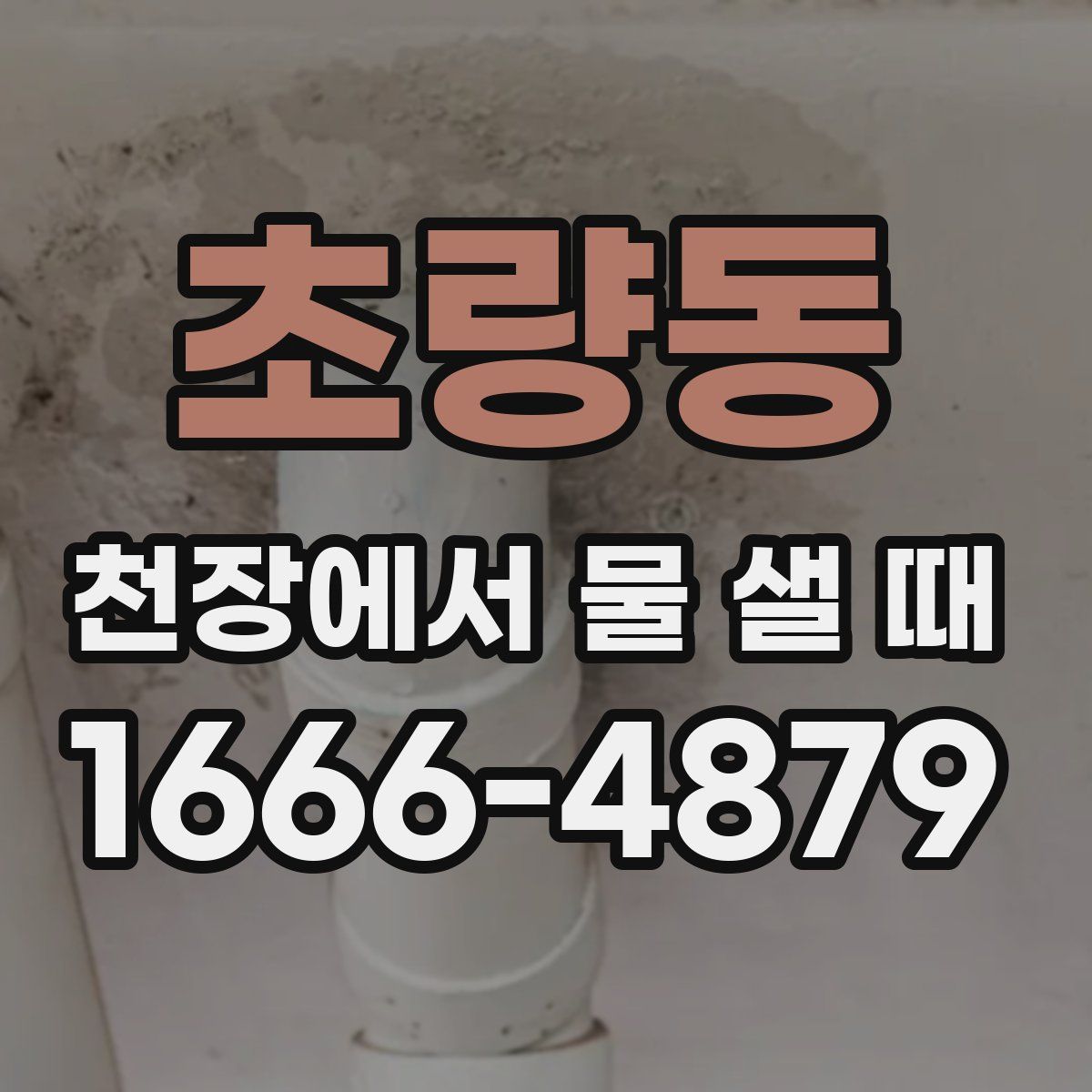 초량동 천장에서 물 샐 때