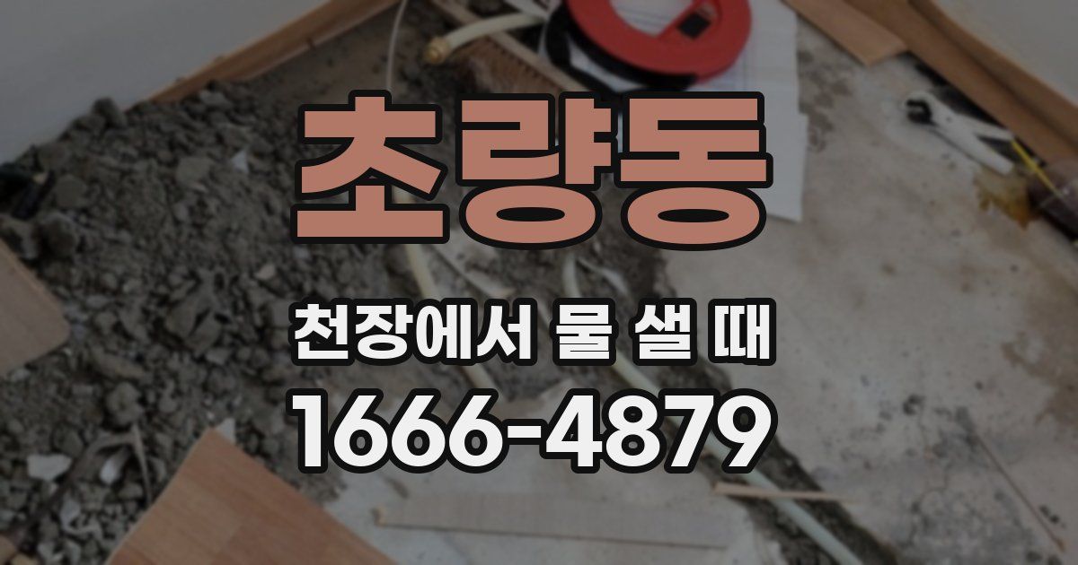 초량동 천장에서 물 샐 때
