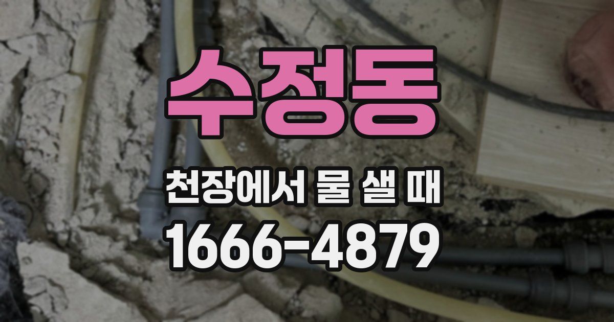 수정동 천장에서 물 샐 때