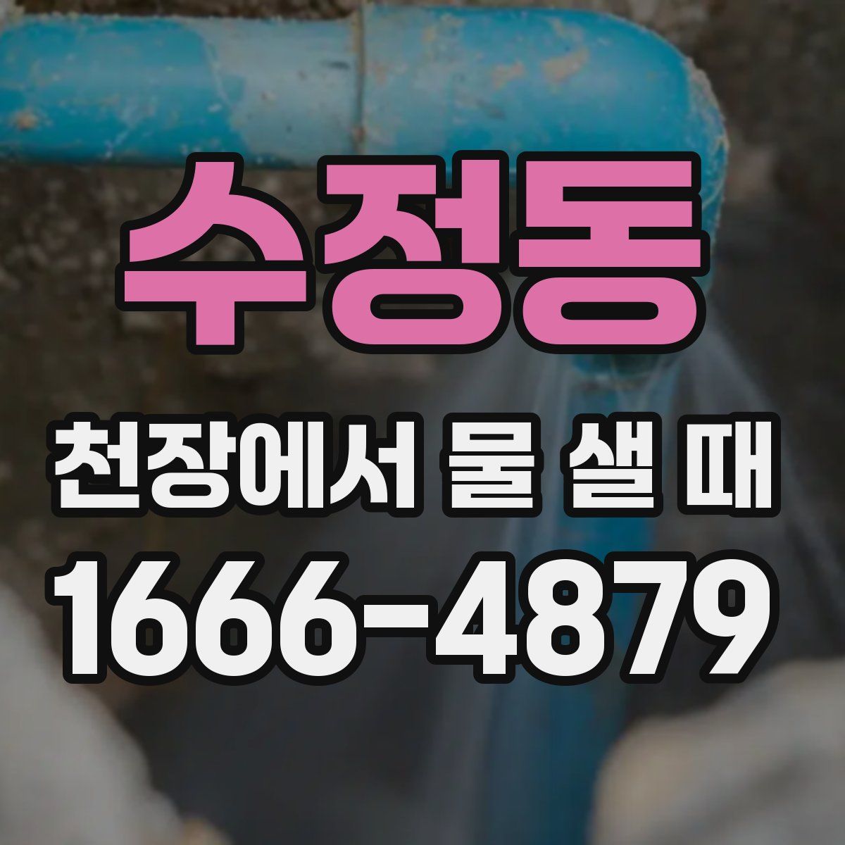 수정동 천장에서 물 샐 때