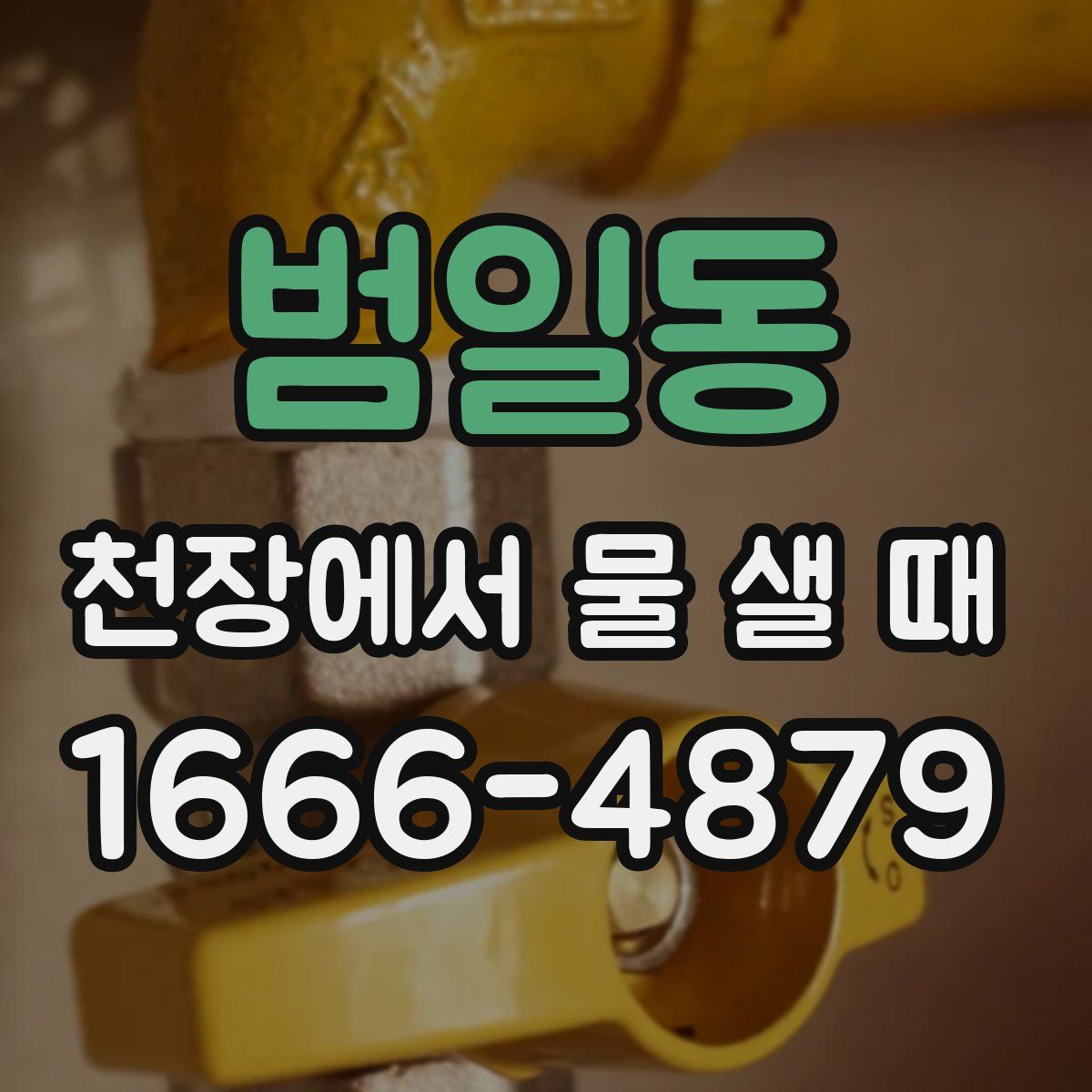 범일동 천장에서 물 샐 때