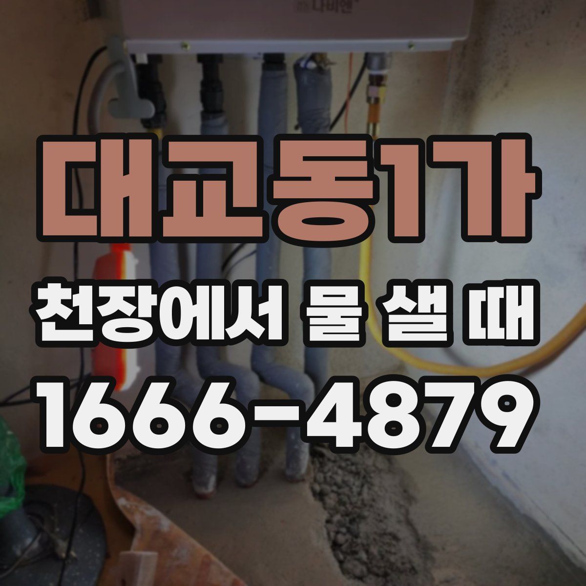 대교동1가 천장에서 물 샐 때