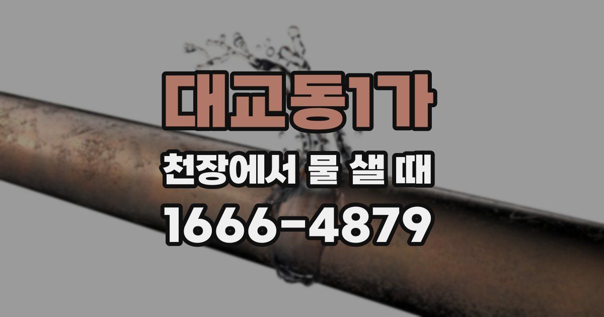 대교동1가 천장에서 물 샐 때