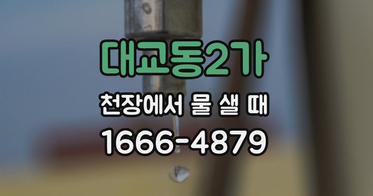 대교동2가 천장에서 물 샐 때