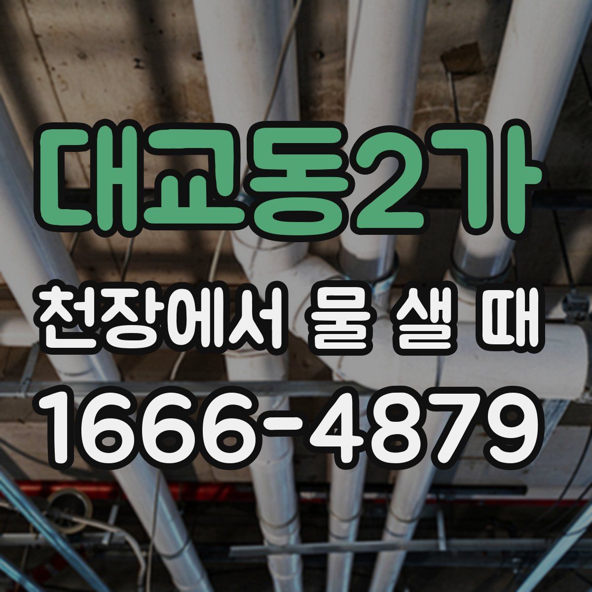대교동2가 천장에서 물 샐 때