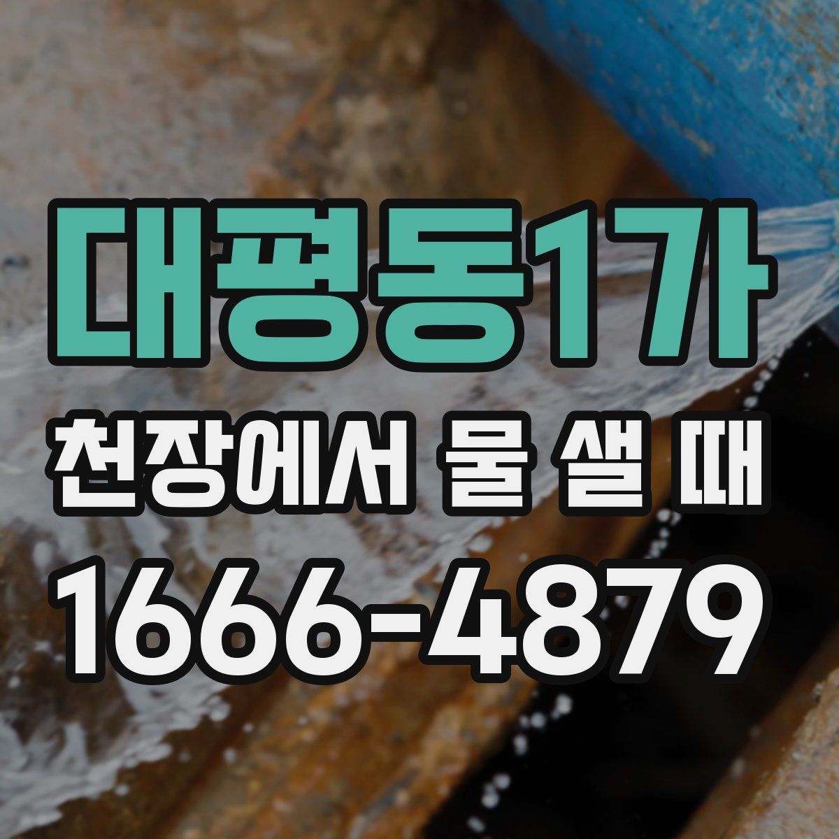 대평동1가 천장에서 물 샐 때