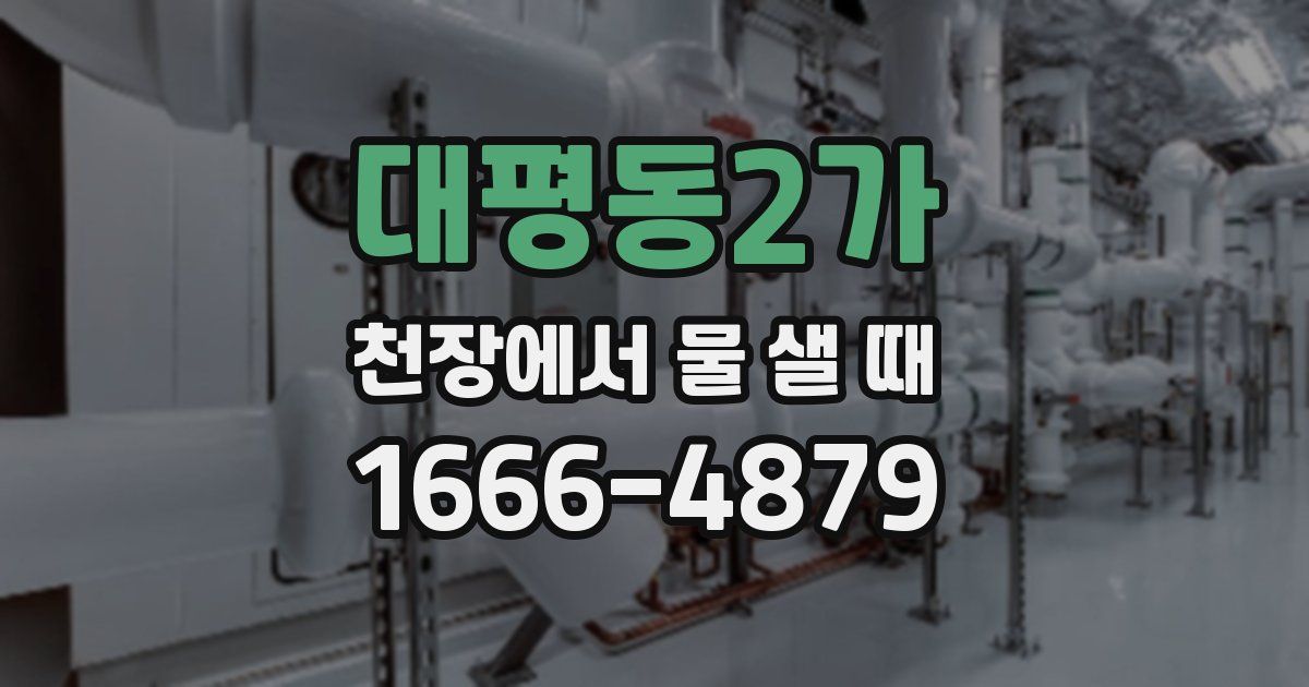 대평동2가 천장에서 물 샐 때