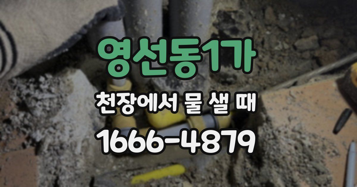 영선동1가 천장에서 물 샐 때