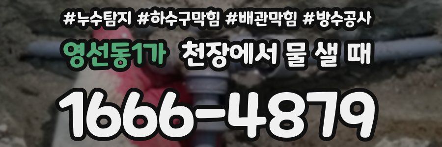 영선동1가 천장에서 물 샐 때