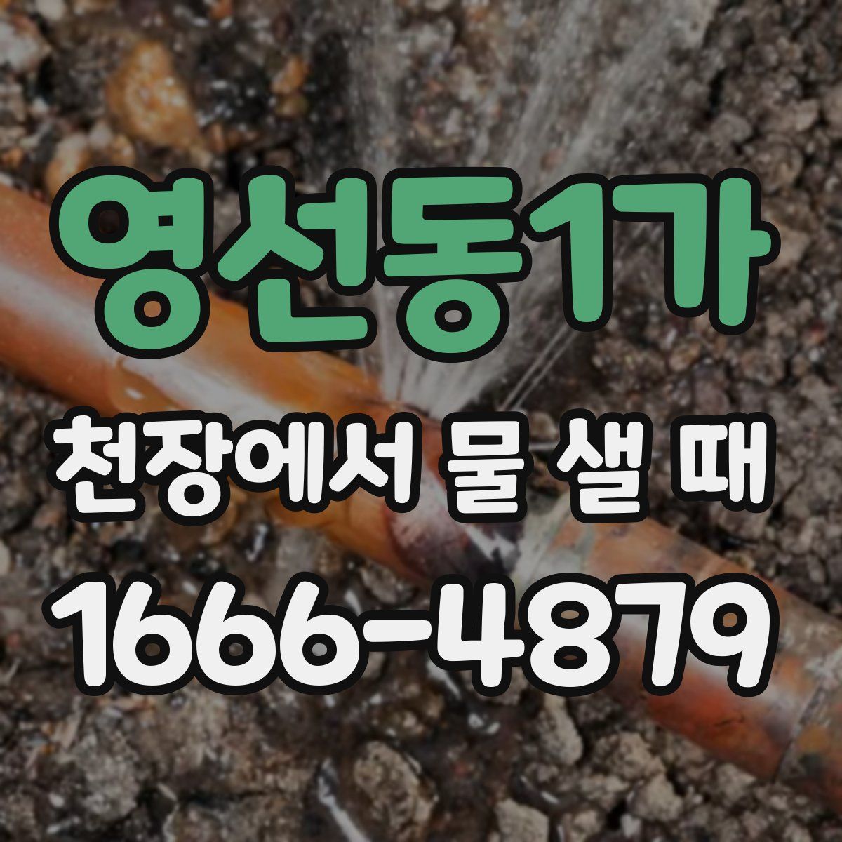 영선동1가 천장에서 물 샐 때