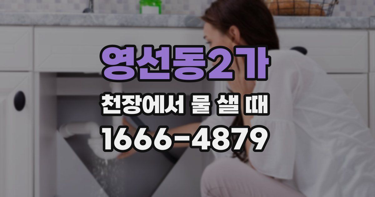 영선동2가 천장에서 물 샐 때