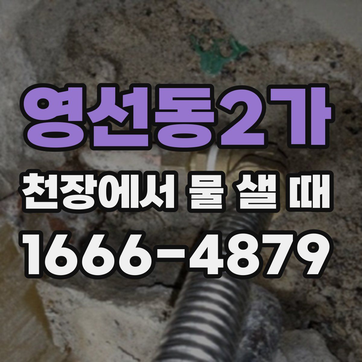 영선동2가 천장에서 물 샐 때