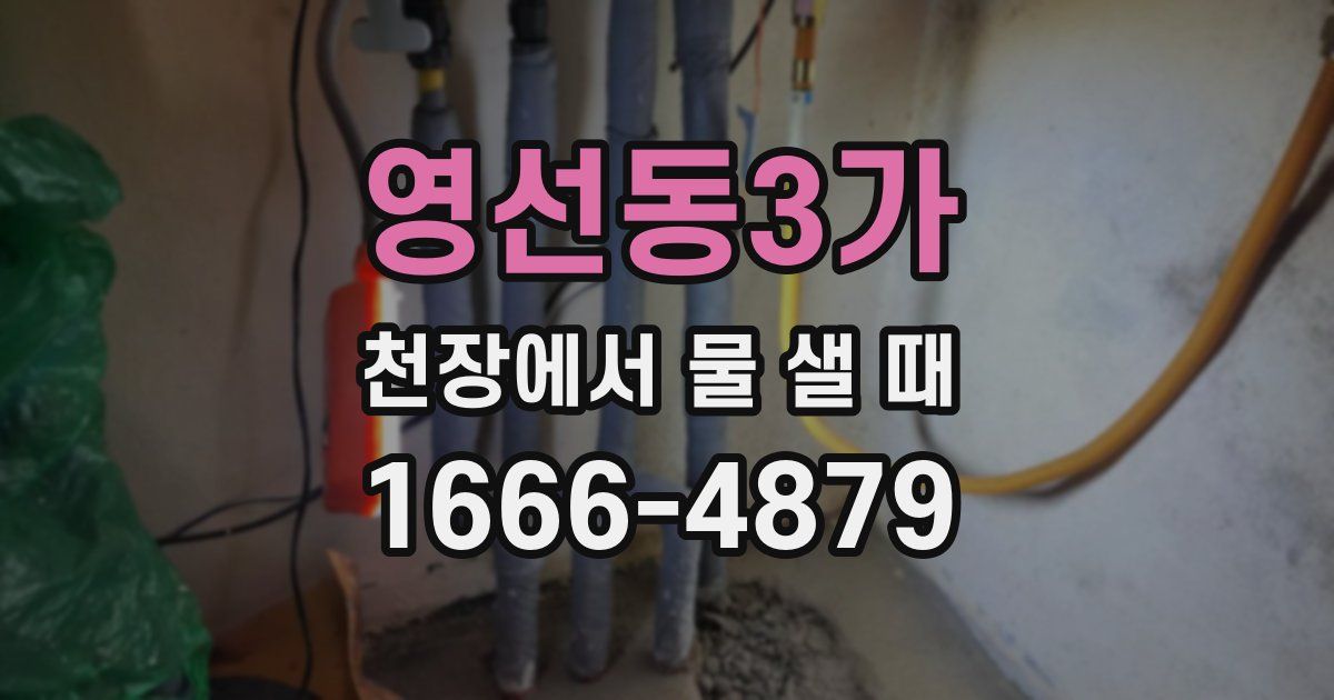 영선동3가 천장에서 물 샐 때
