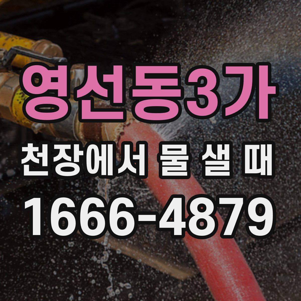 영선동3가 천장에서 물 샐 때