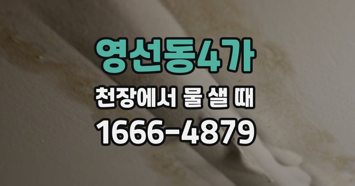영선동4가 천장에서 물 샐 때