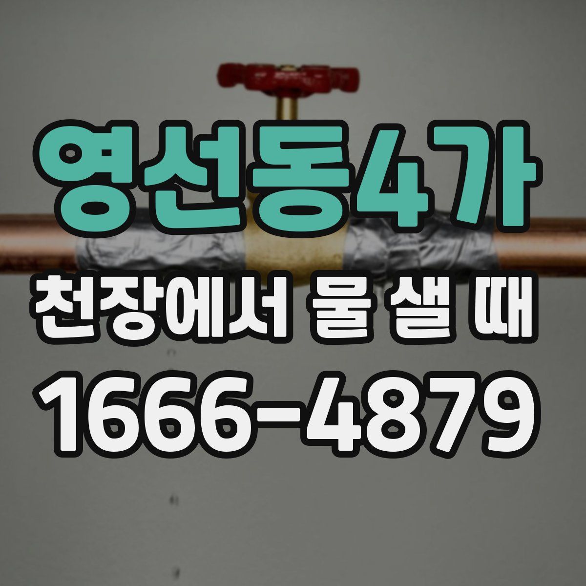 영선동4가 천장에서 물 샐 때