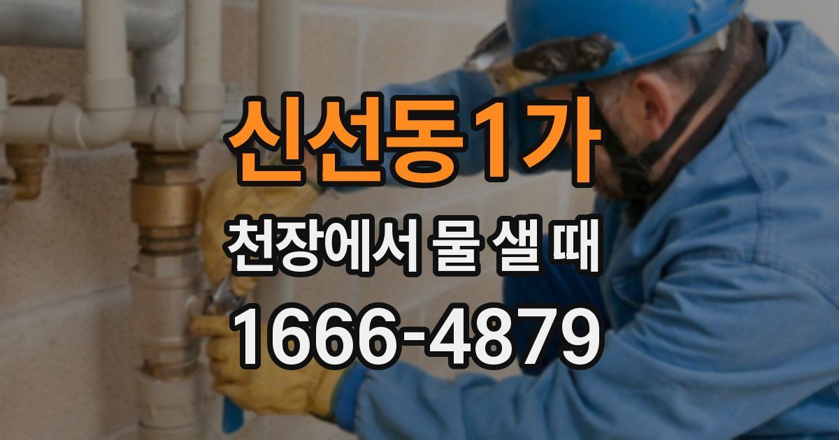 신선동1가 천장에서 물 샐 때