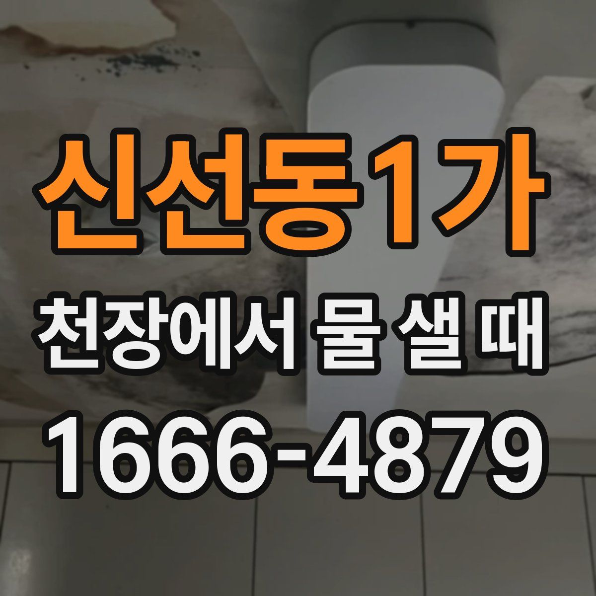 신선동1가 천장에서 물 샐 때