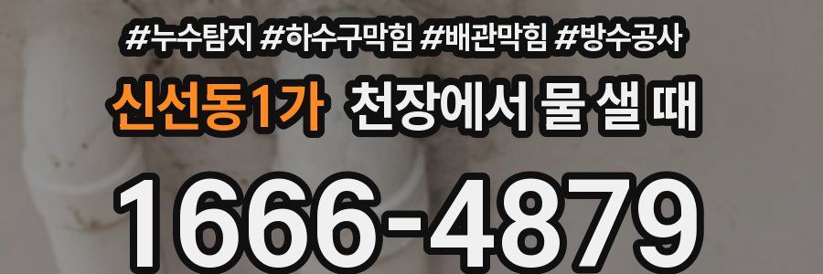 신선동1가 천장에서 물 샐 때