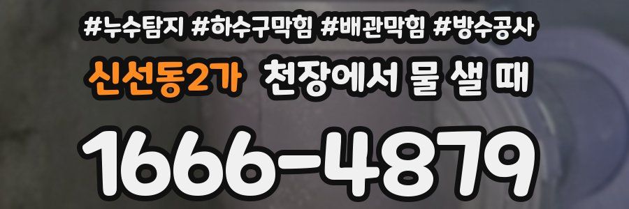 신선동2가 천장에서 물 샐 때