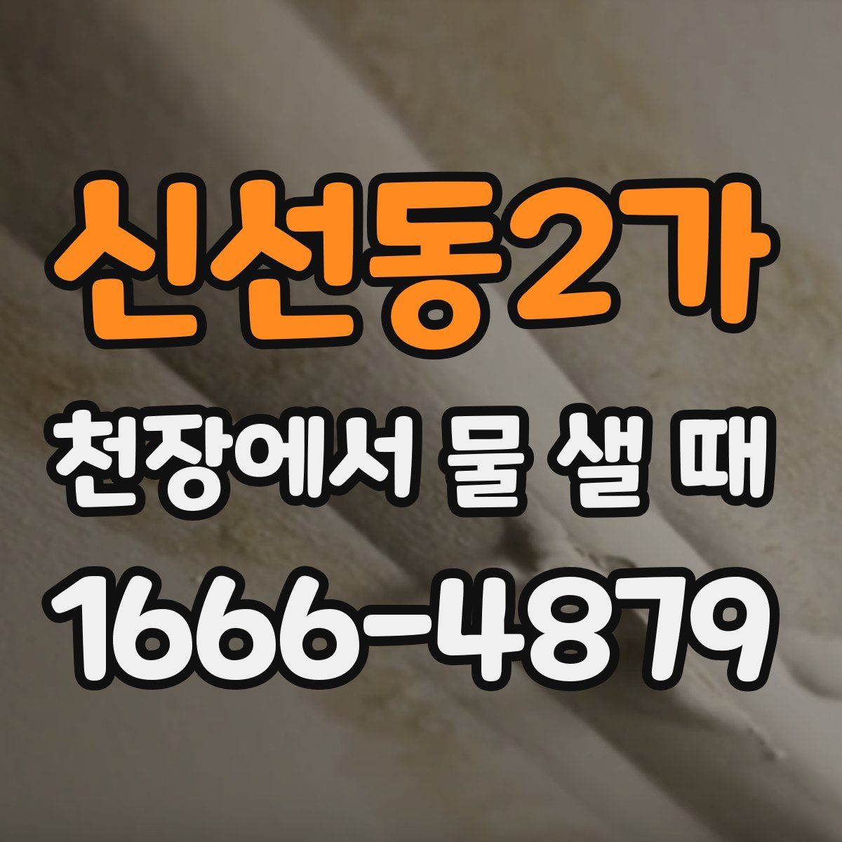 신선동2가 천장에서 물 샐 때
