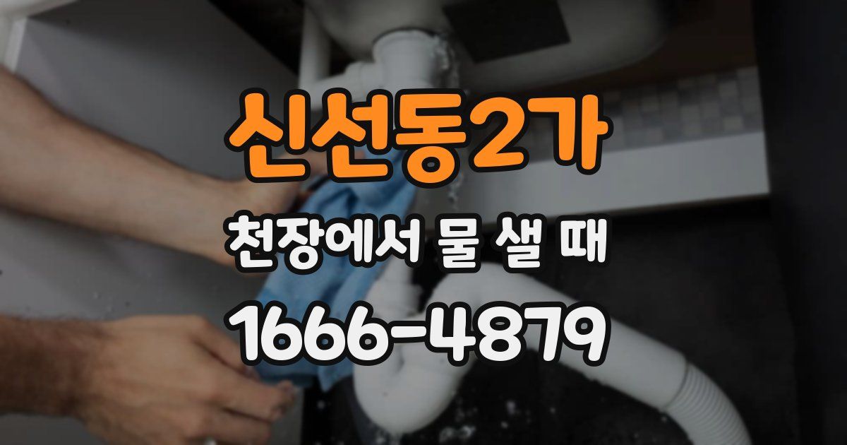 신선동2가 천장에서 물 샐 때