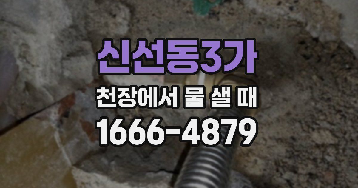 신선동3가 천장에서 물 샐 때