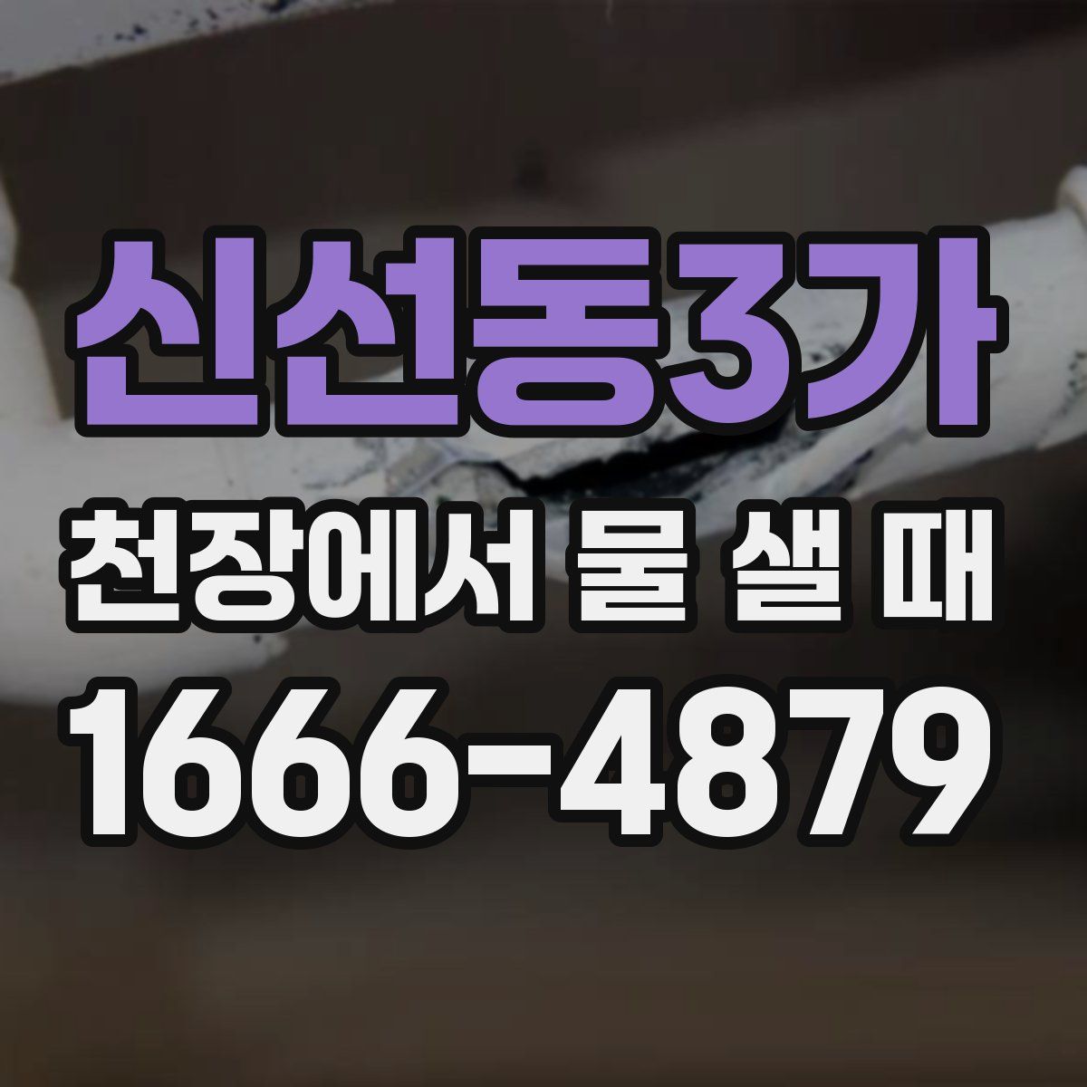 신선동3가 천장에서 물 샐 때