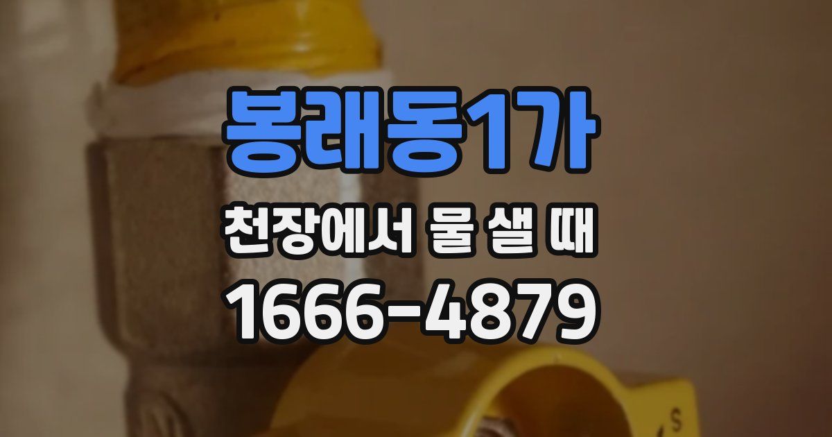 봉래동1가 천장에서 물 샐 때