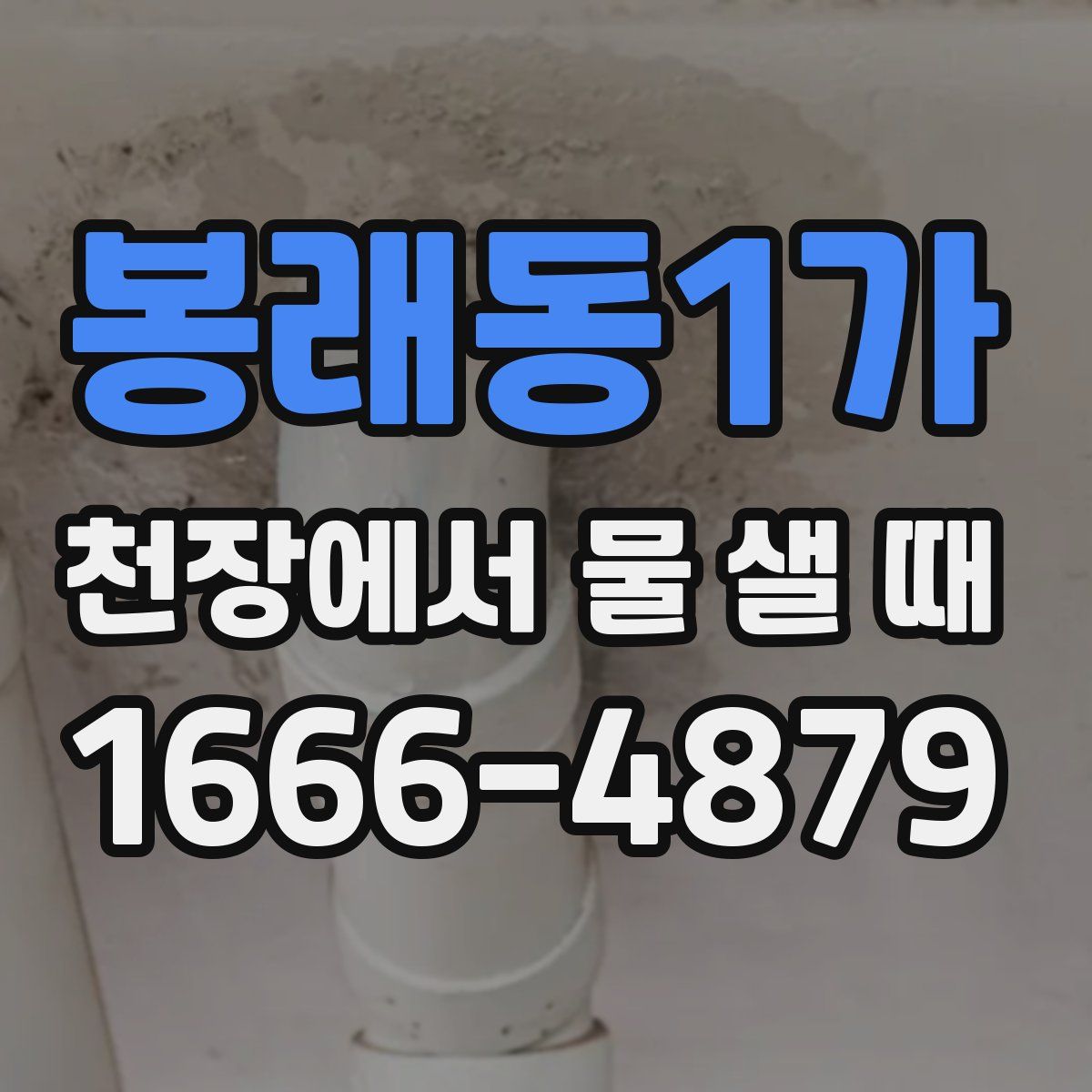 봉래동1가 천장에서 물 샐 때