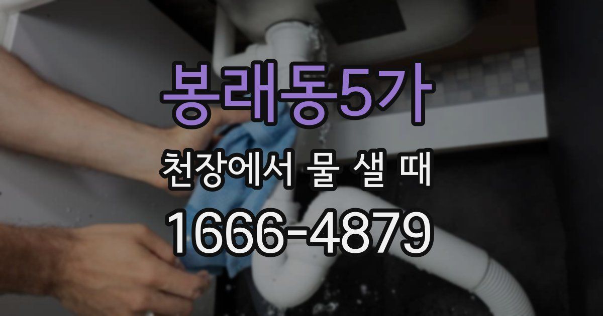 봉래동5가 천장에서 물 샐 때