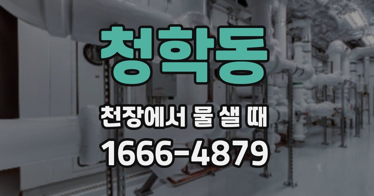 청학동 천장에서 물 샐 때