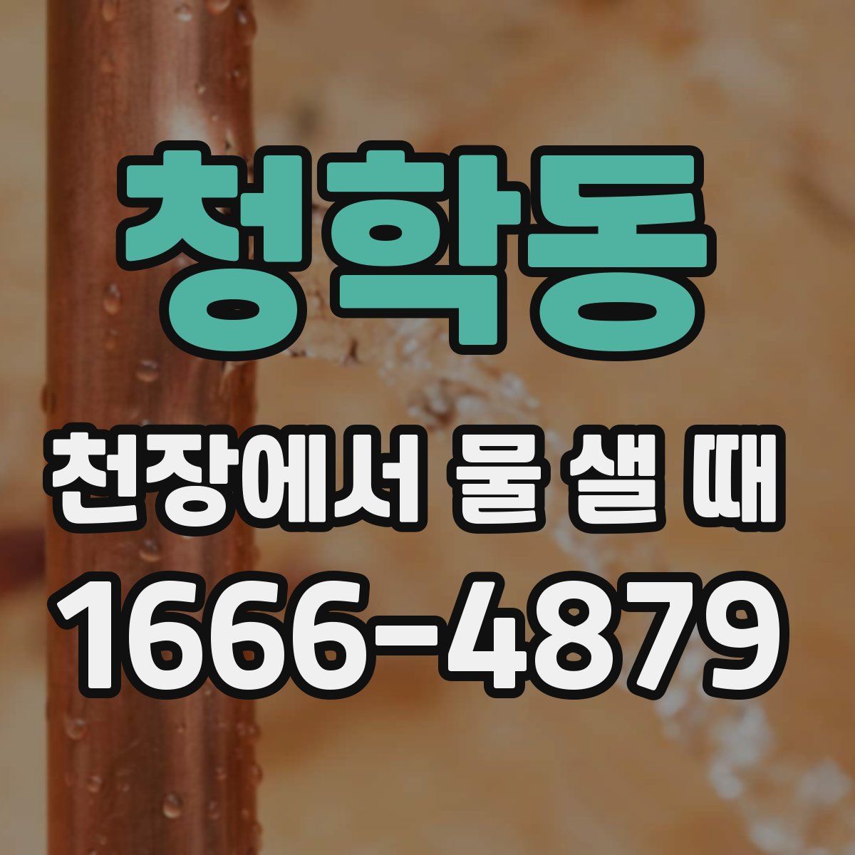 청학동 천장에서 물 샐 때