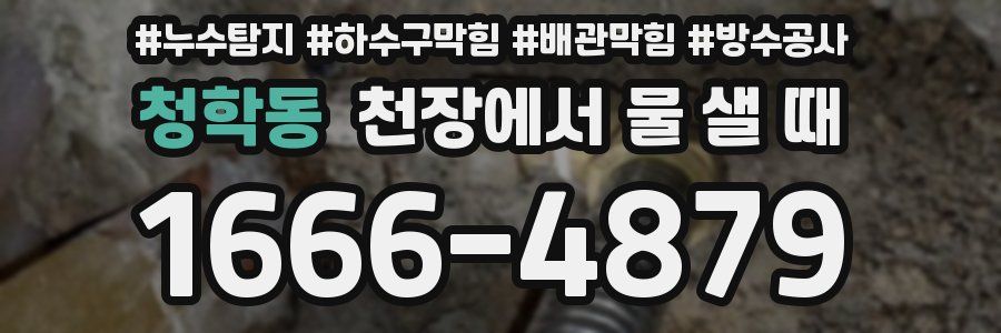 청학동 천장에서 물 샐 때