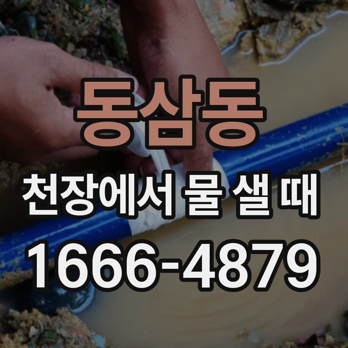 동삼동 천장에서 물 샐 때