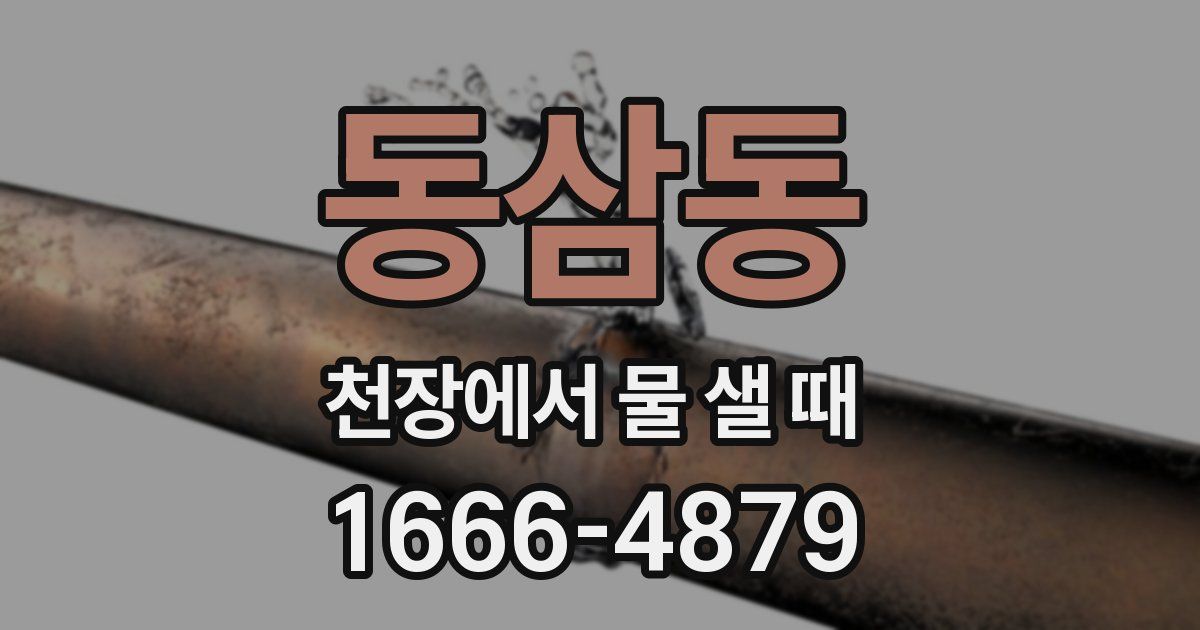 동삼동 천장에서 물 샐 때