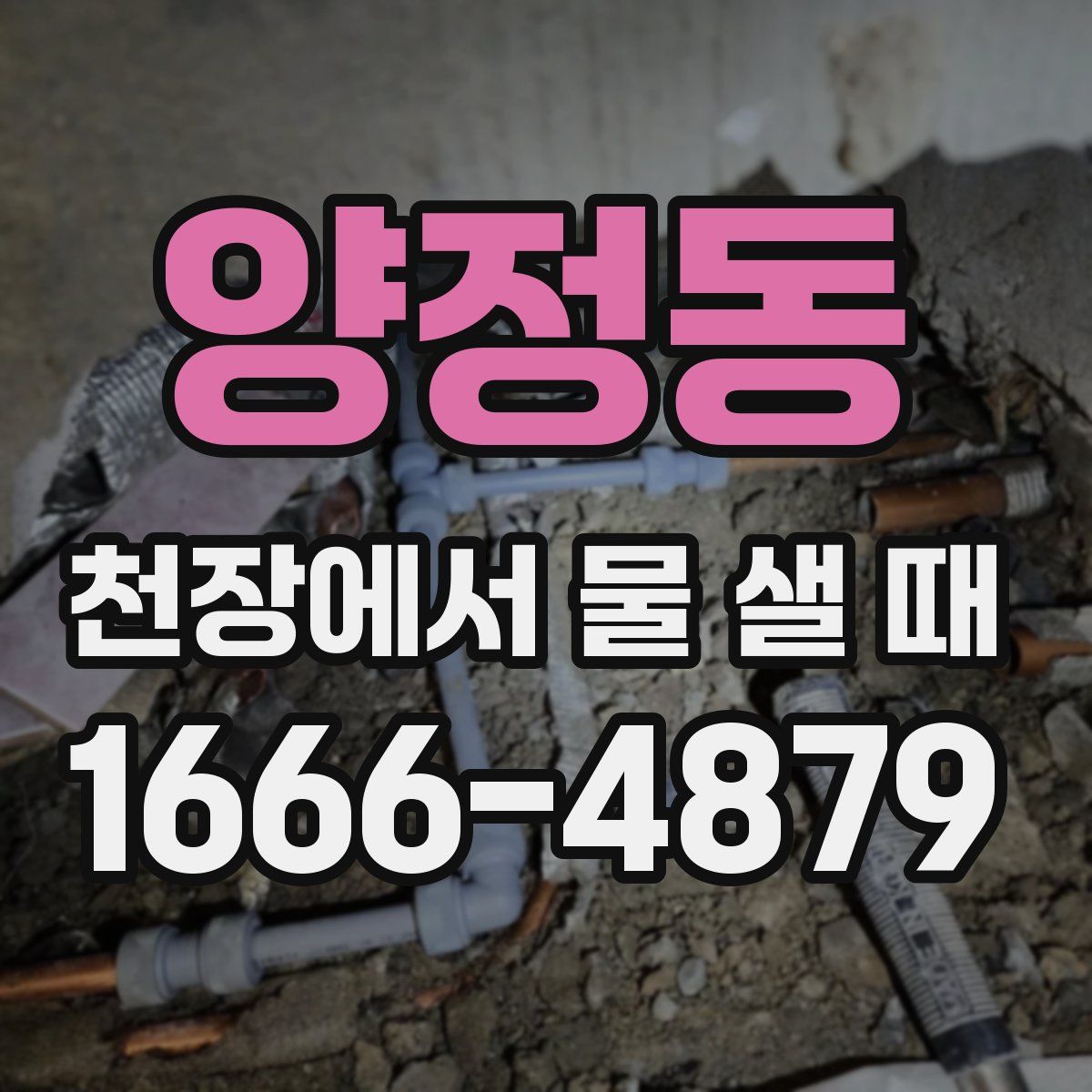 양정동 천장에서 물 샐 때