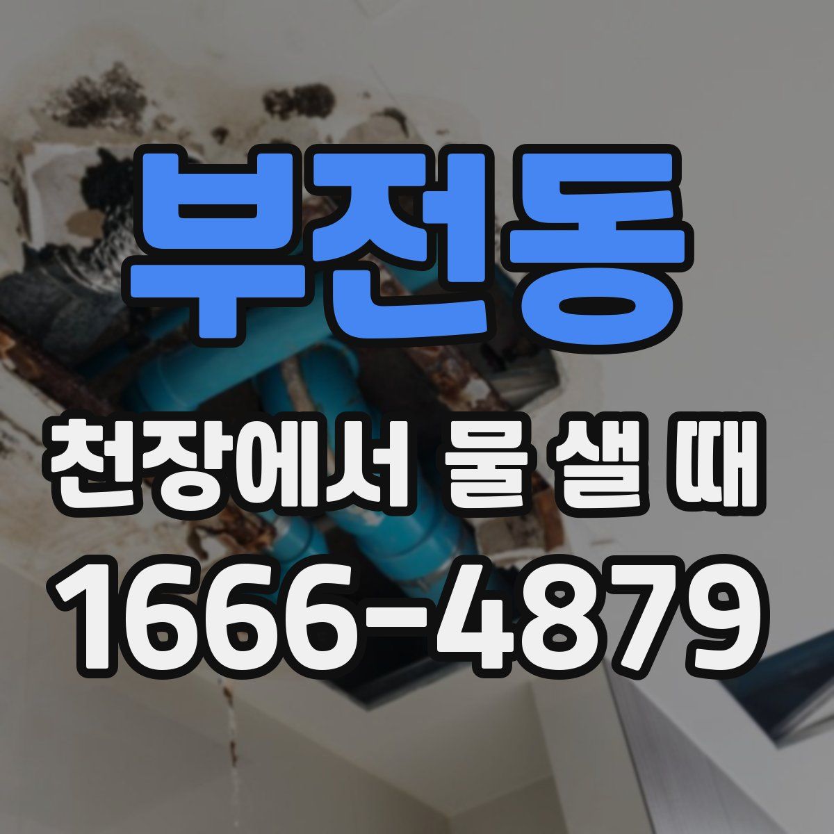 부전동 천장에서 물 샐 때