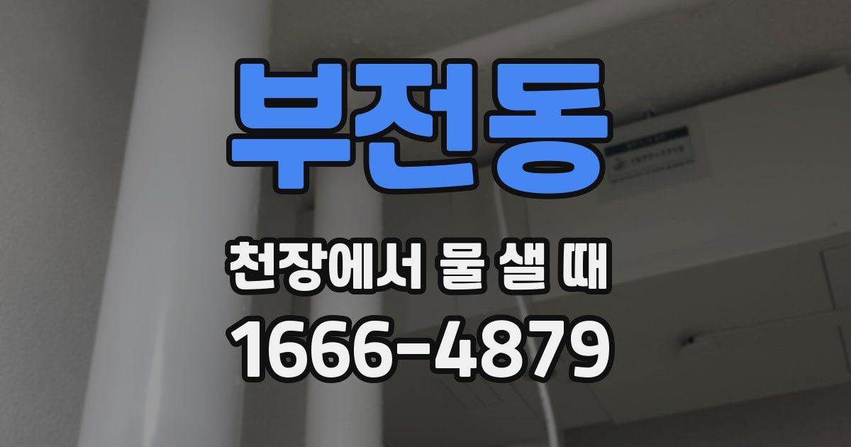 부전동 천장에서 물 샐 때