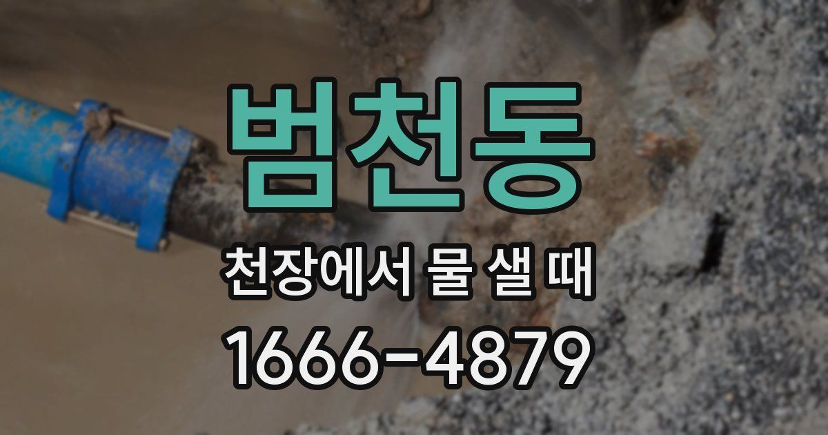 범천동 천장에서 물 샐 때