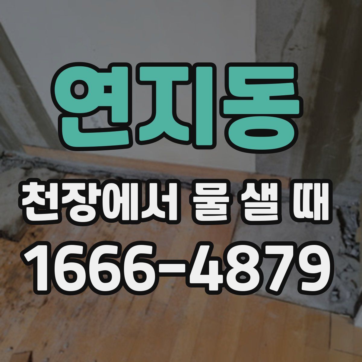 연지동 천장에서 물 샐 때