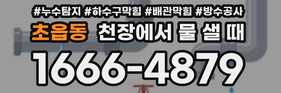 초읍동 천장에서 물 샐 때