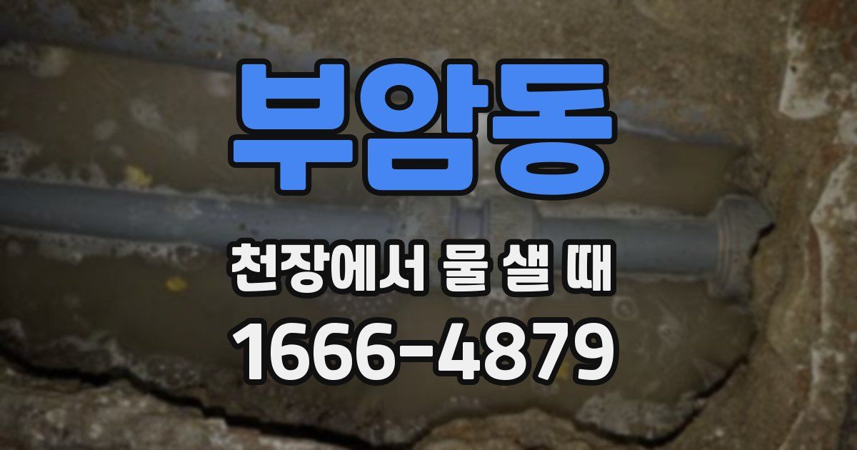 부암동 천장에서 물 샐 때
