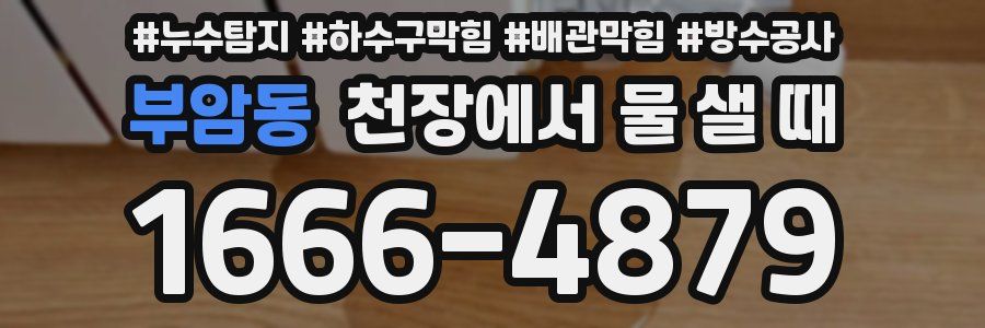 부암동 천장에서 물 샐 때