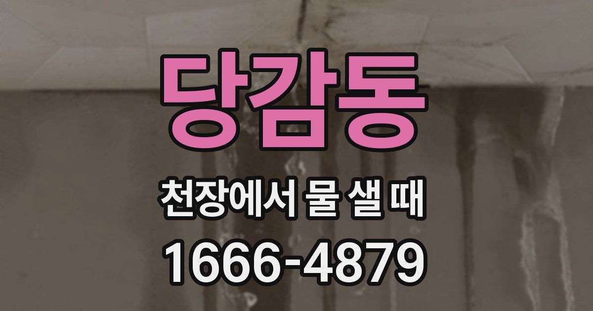 당감동 천장에서 물 샐 때