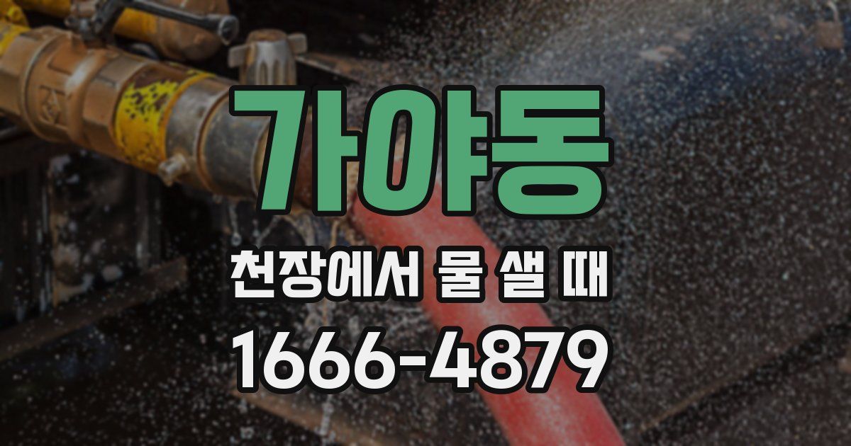 가야동 천장에서 물 샐 때