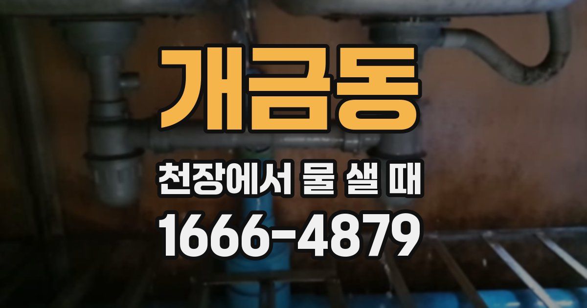 개금동 천장에서 물 샐 때