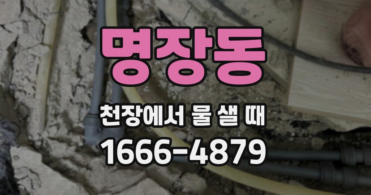 명장동 천장에서 물 샐 때