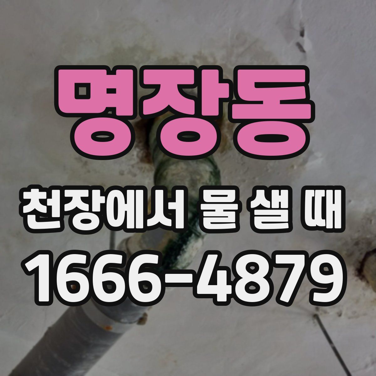 명장동 천장에서 물 샐 때